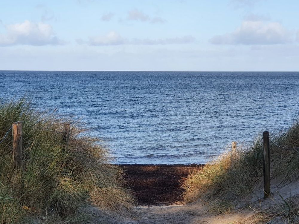 Blick auf die Ostsee durch die Dünen