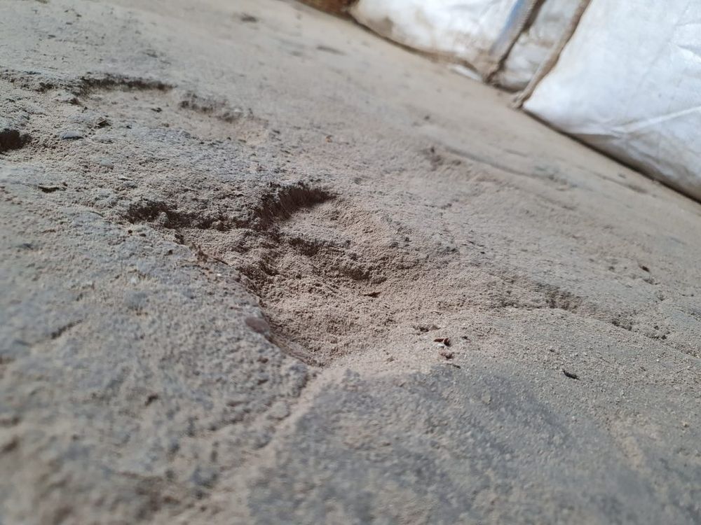 Nahaufnahme einer sandigen Oberfläche mit Spuren