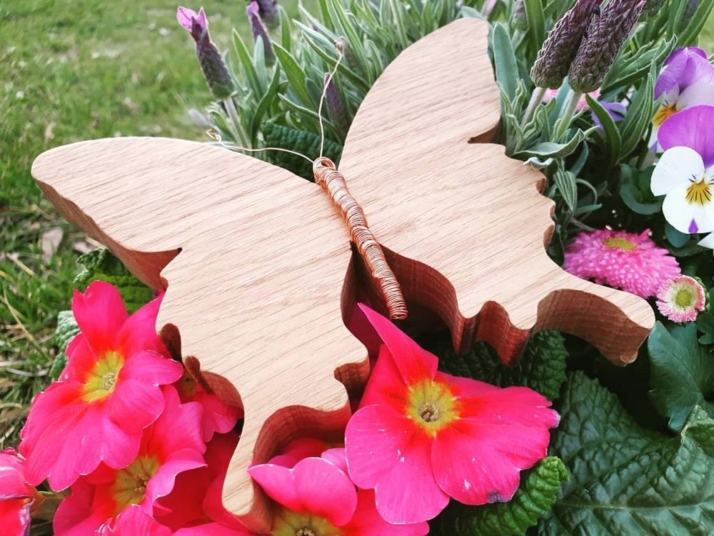 Schmetterling Rosalie